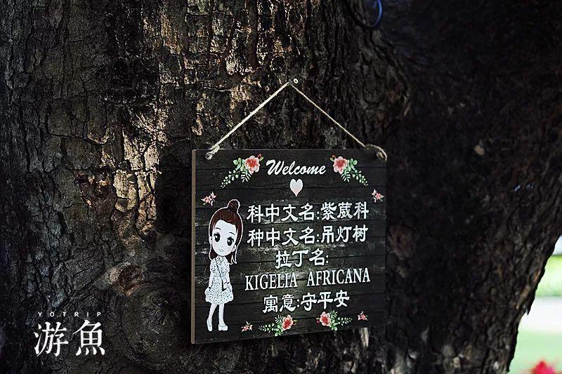荒野坦克大战