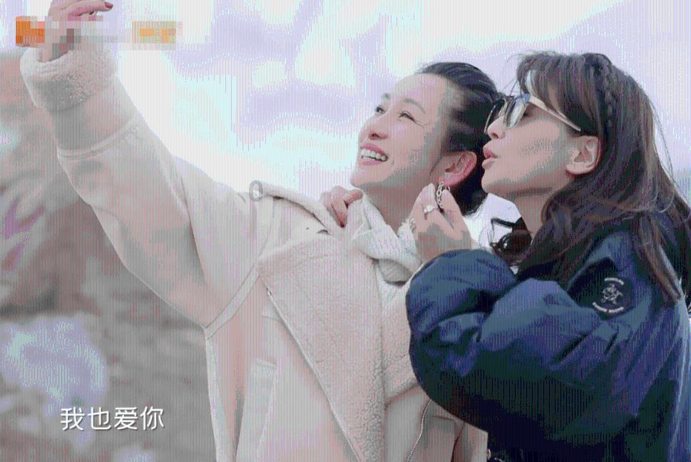 狐狸的旅程